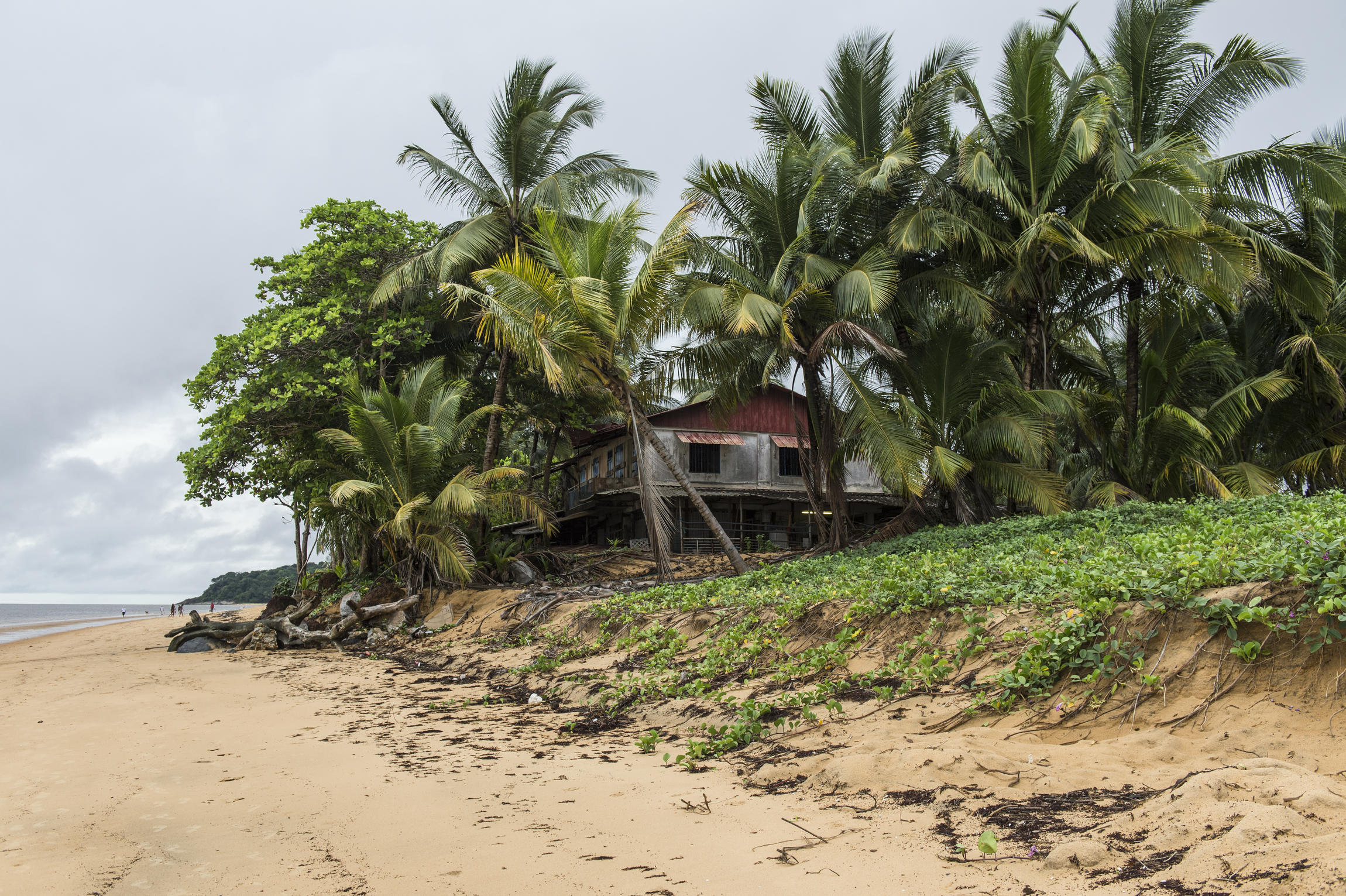 Plage de Cayenne