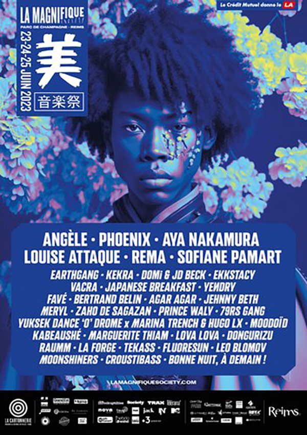 Affiche de La Magnifique Society