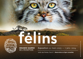 Gagnez des invitations !