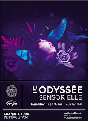 Exposition l'Odyssée sensorielle