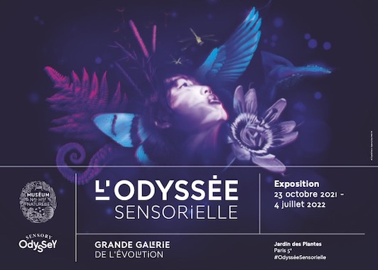 L'Odyssée sensorielle