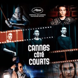 La collection à découvrir sur france.tv