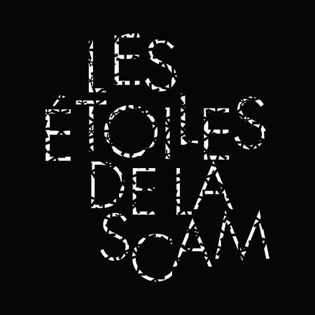 Logo Les Étoiles de la Scam