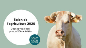 Visuel - Jeu concours SIA 2020
