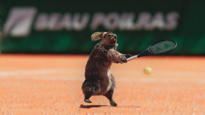 Photo Marmotte Baballe magazine France 3