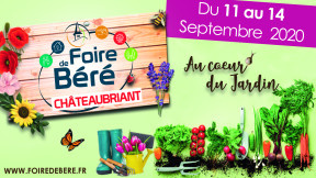 Foire de Béré