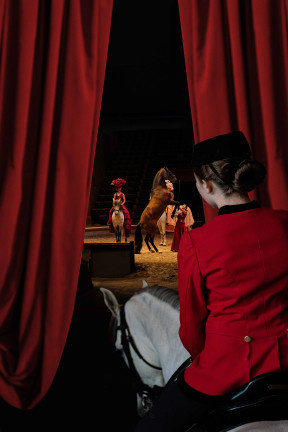 Spectacle équestre Du manège à la scène