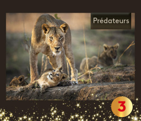 Visuel du jour n°3 du calendrier de l'avent