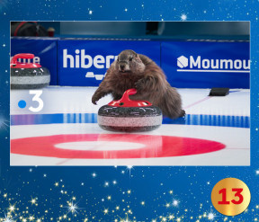 Visuel du jour n°13 du calendrier de l'avent