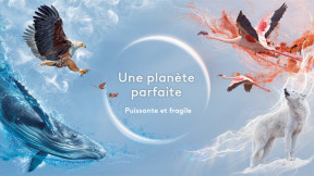 Photo artwork de la série documentaire
