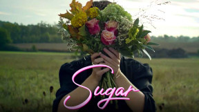 Sugar