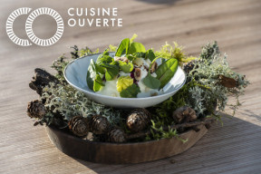 Plat Cuisine ouverte