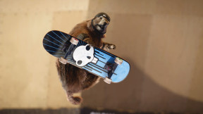 Photo Marmottes skate board magazine France 3