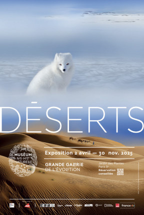 Visuel "Exposition DESERTS Muséum National Histoire Naturelle"
