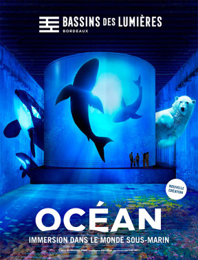 Océan, immersion dans le monde sous-marin aux Bassins de Lumières