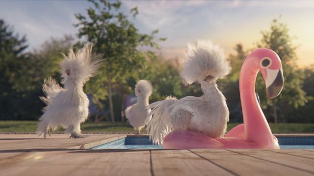 Les Poules mascotte antenne France 3 - Eté 2022