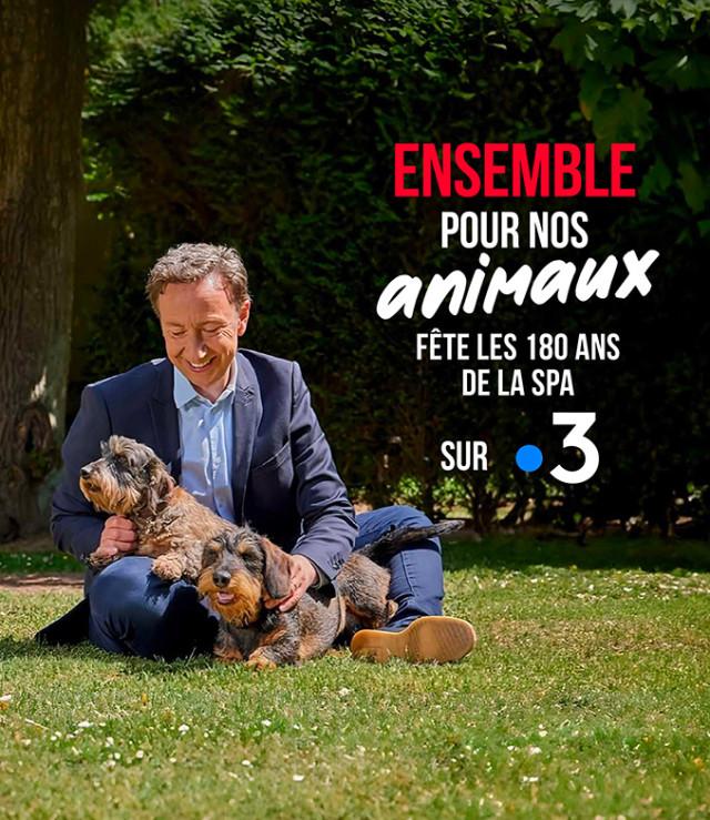 On offre des lots SPA pour soutenir l'association !