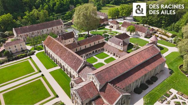 Des racines & des ailes : La Bourgogne, terre de passions