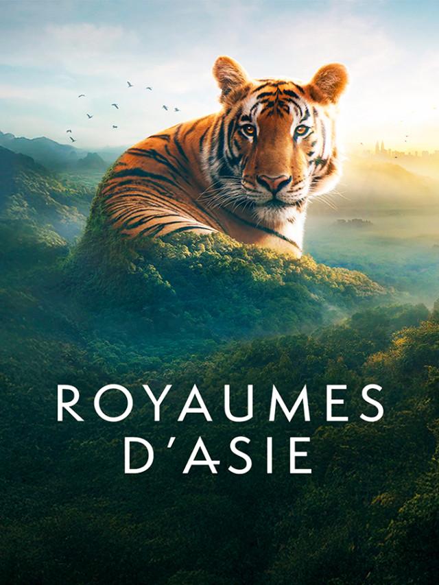 photo du documentaire Royaumes d'Asie