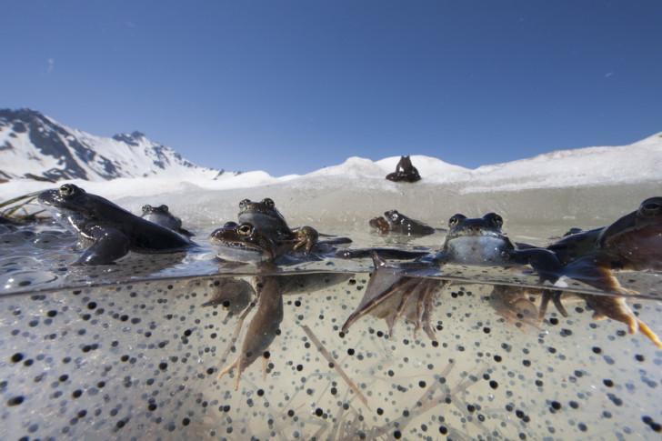Le Plus Beau Pays du monde : Le Sanctuaire