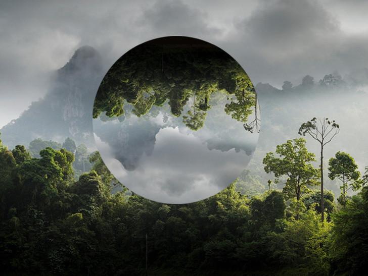 France tv nature, une voix pour l’environnement