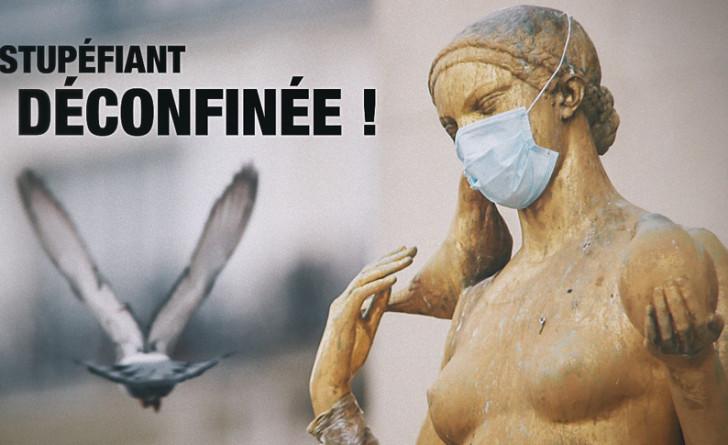 « Le Doc stupéfiant : La Culture confinée »
