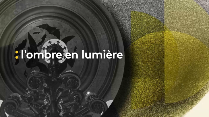 L'Ombre en lumière