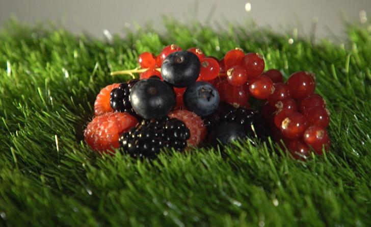 photos de baies rouges sur un tapis d'herbe