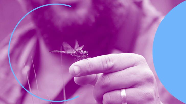 Gros plan d'une libellule posée sur un doigt