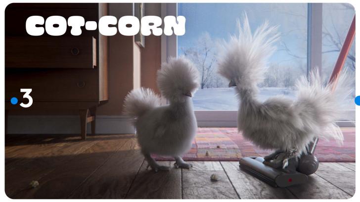 Les poules : le nouvel habillage de France 3.