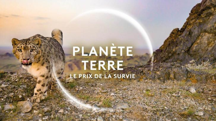 Planète Terre, le prix de la survie