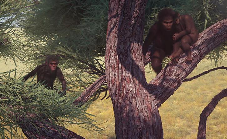 « Kromdraai, à la découverte du premier humain »