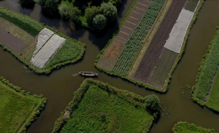 Vue du ciel du marais