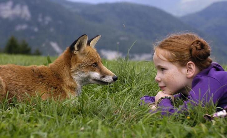 « Le Renard et l'enfant »