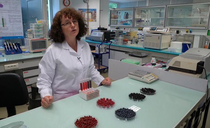 Christine Morrand, chargée de recherche en nutrition à l'INRAE.