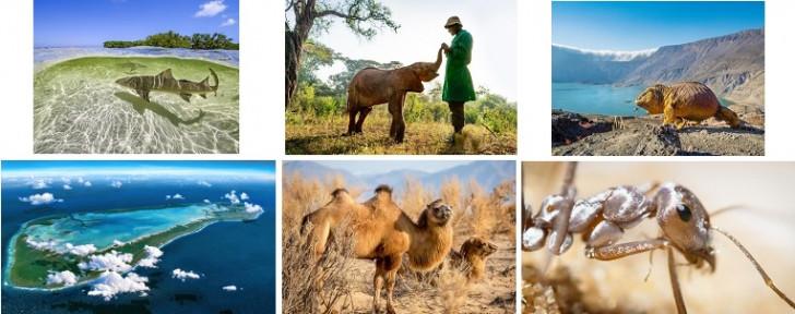 6 photos du documentaire en 4 volets "Une planète parfaite"