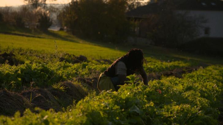 Yolande travaillant son potager