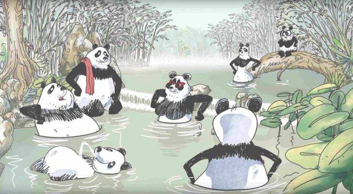 Visuel Pandas dans la brume
