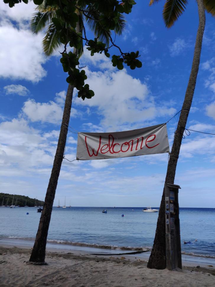 Echappées Belles - Spéciale Martinique