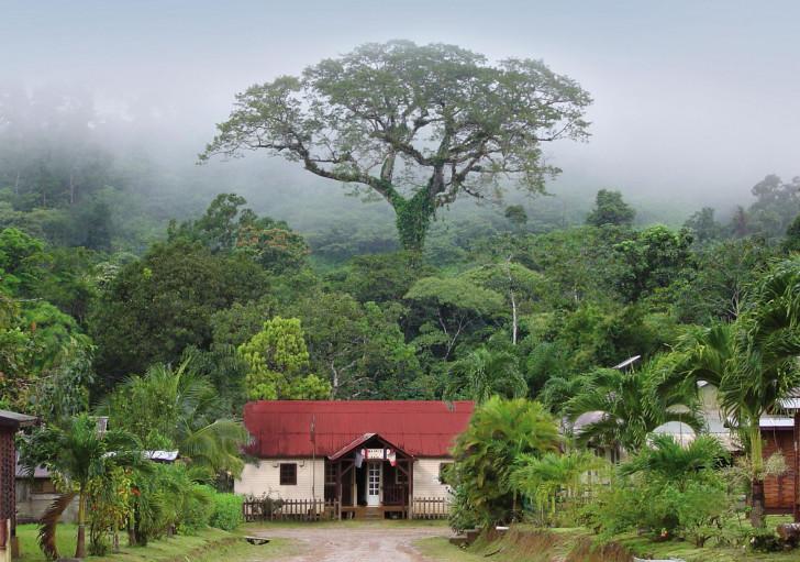 Saül en Guyanne, en lice pour le Village préféré des français