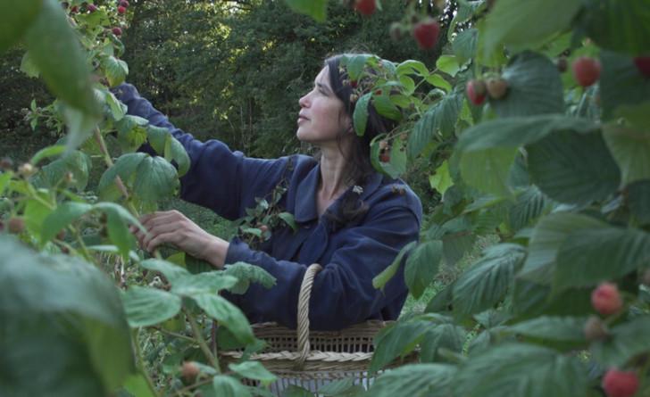 « La Terre du milieu »