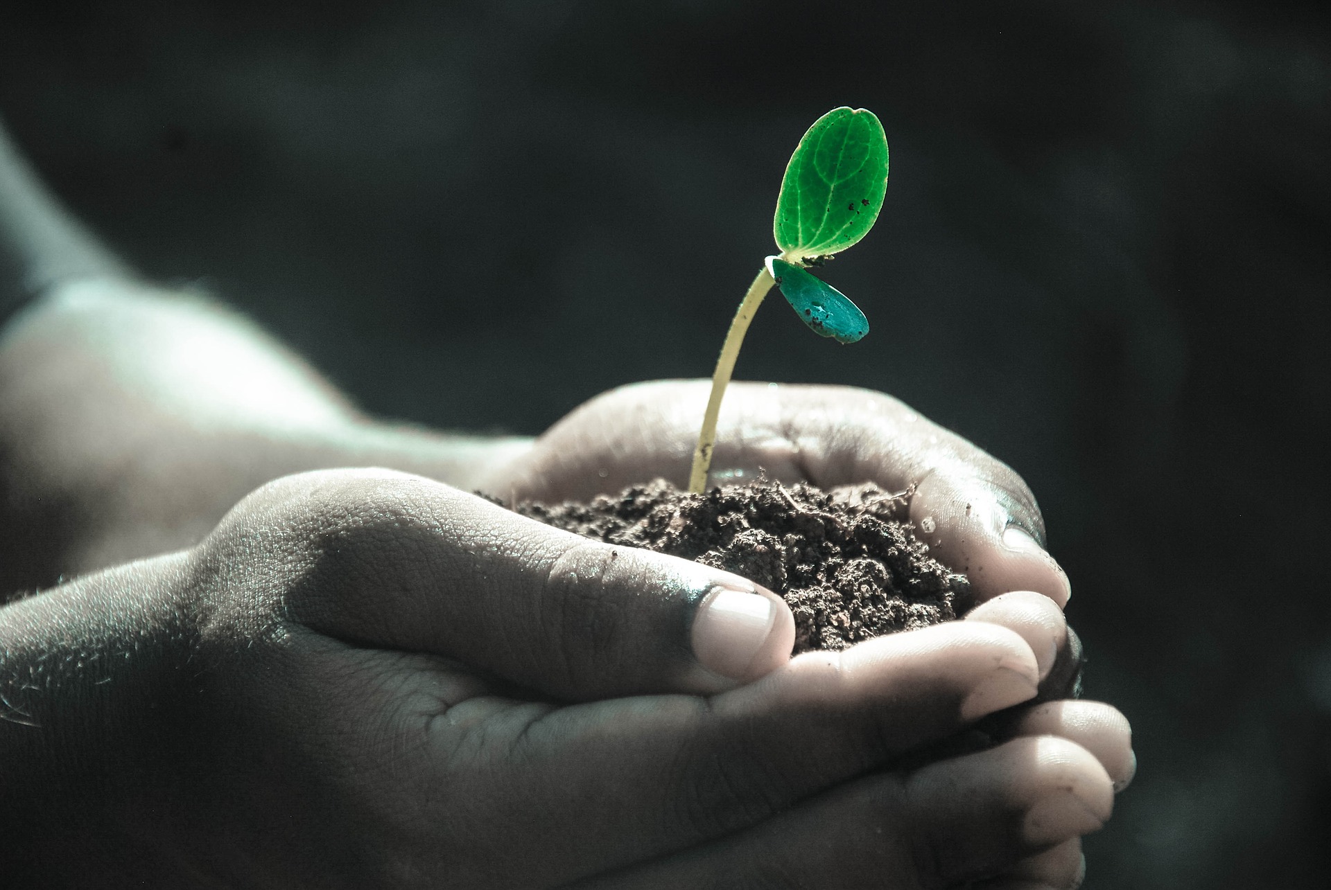 Journée mondiale de l’environnement