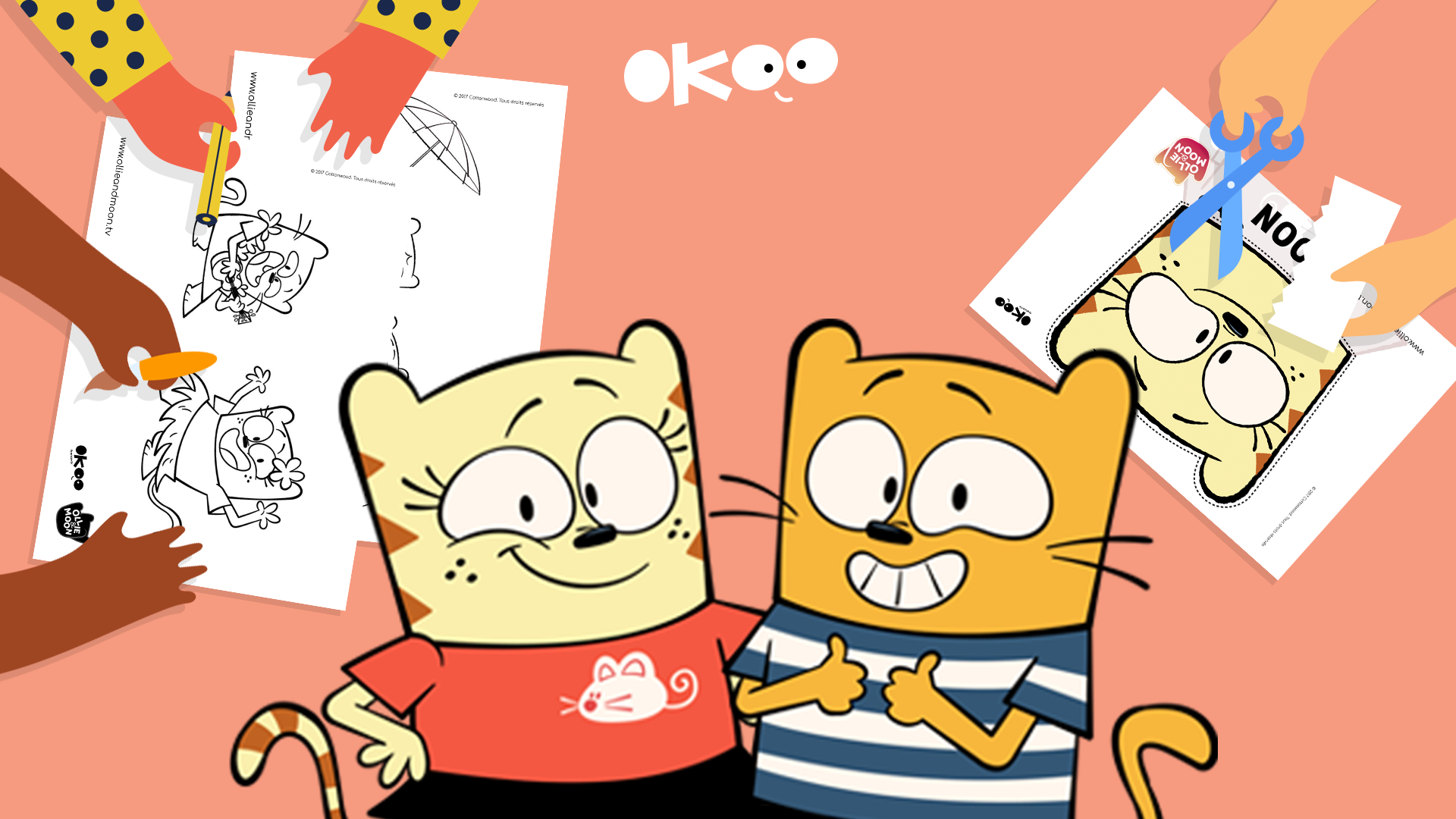 Les activités de Ollie et Moon !