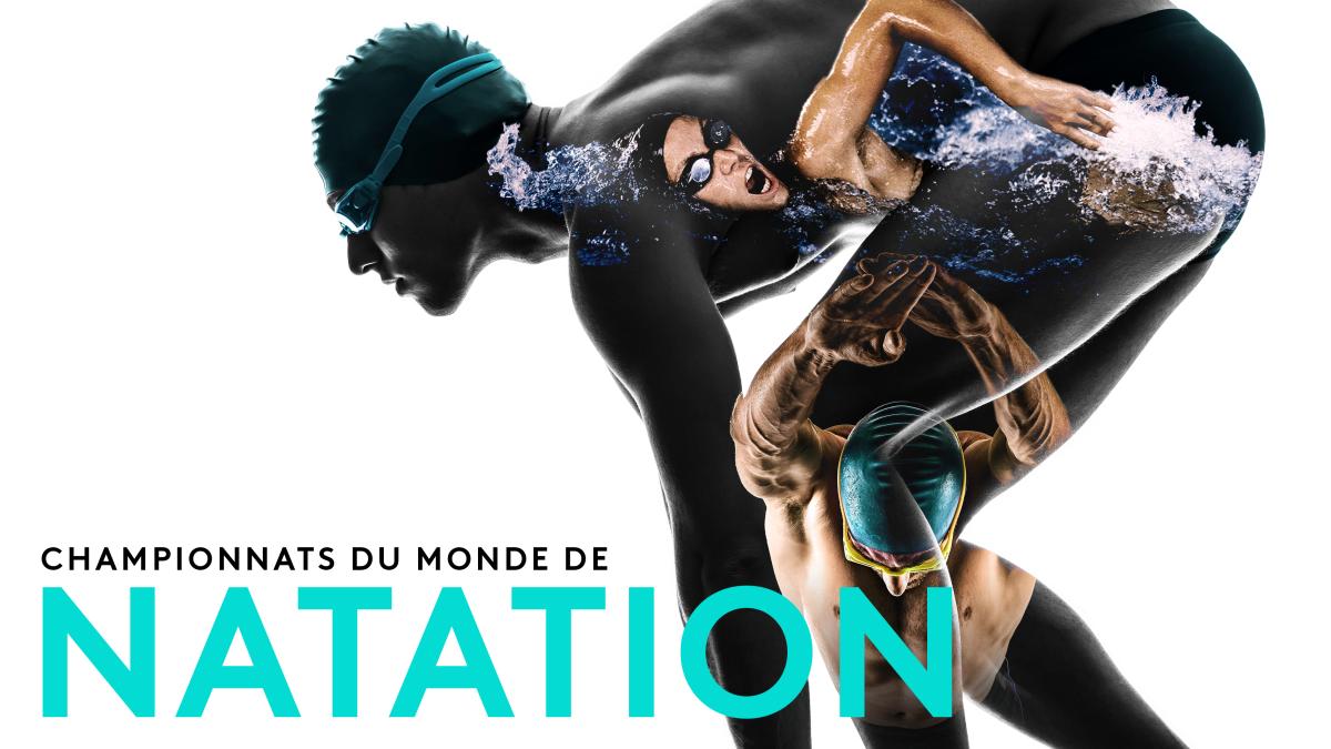 Championnats du monde de natation : « On va vraiment se régaler ! » 