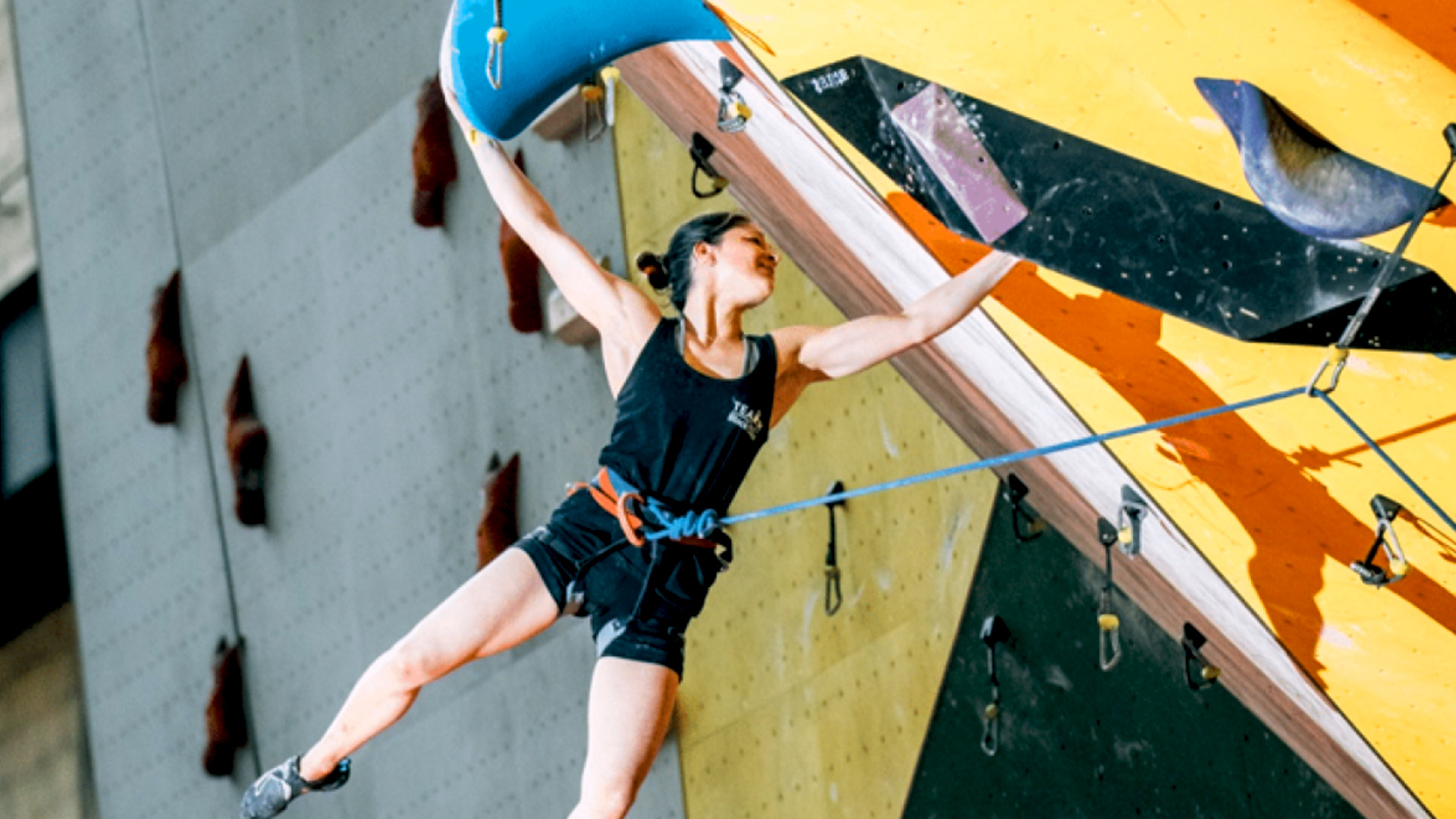 Championnats de France d'escalade