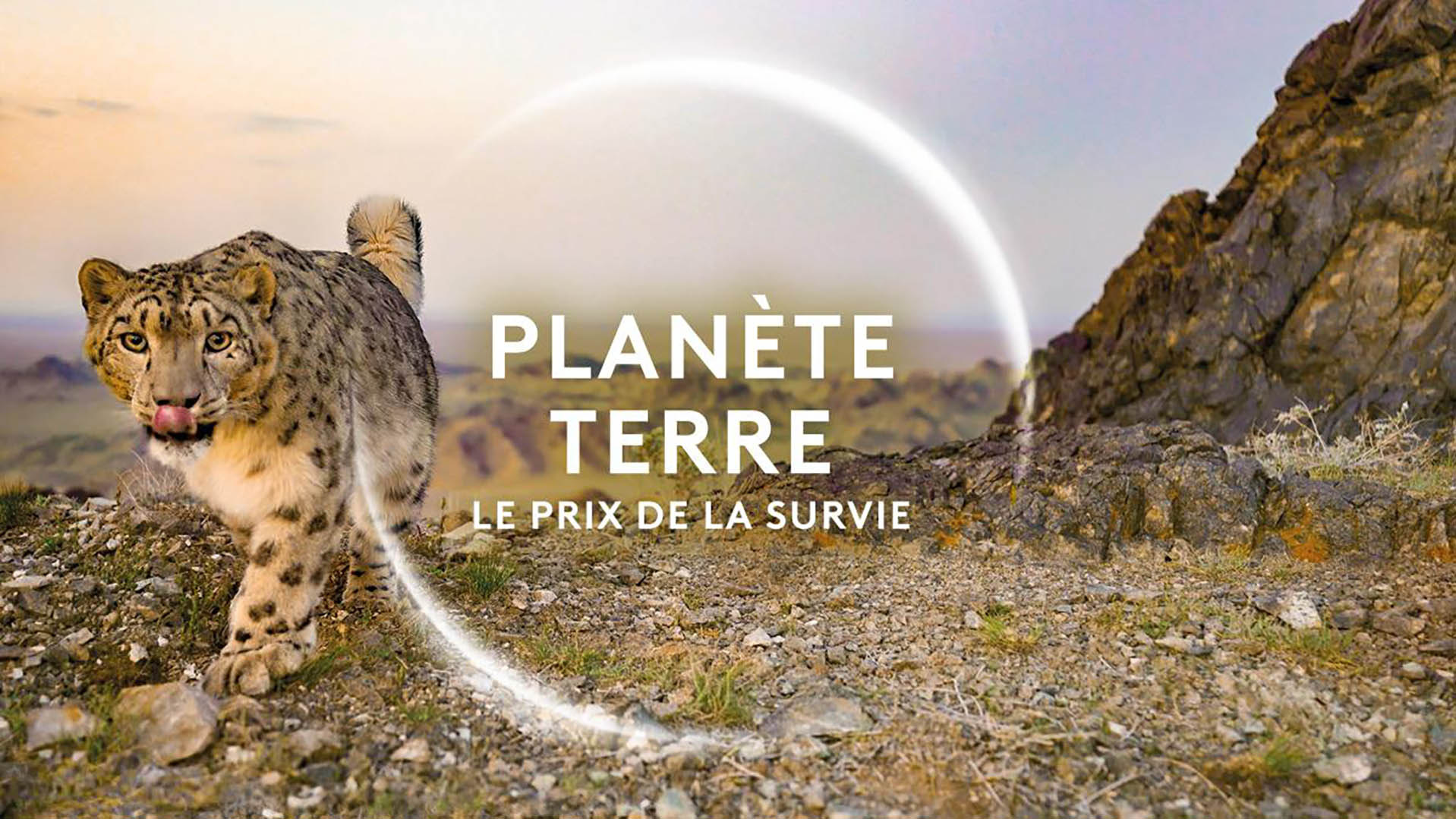 « Planète Terre, le prix de la survie » : une spirale inflationniste