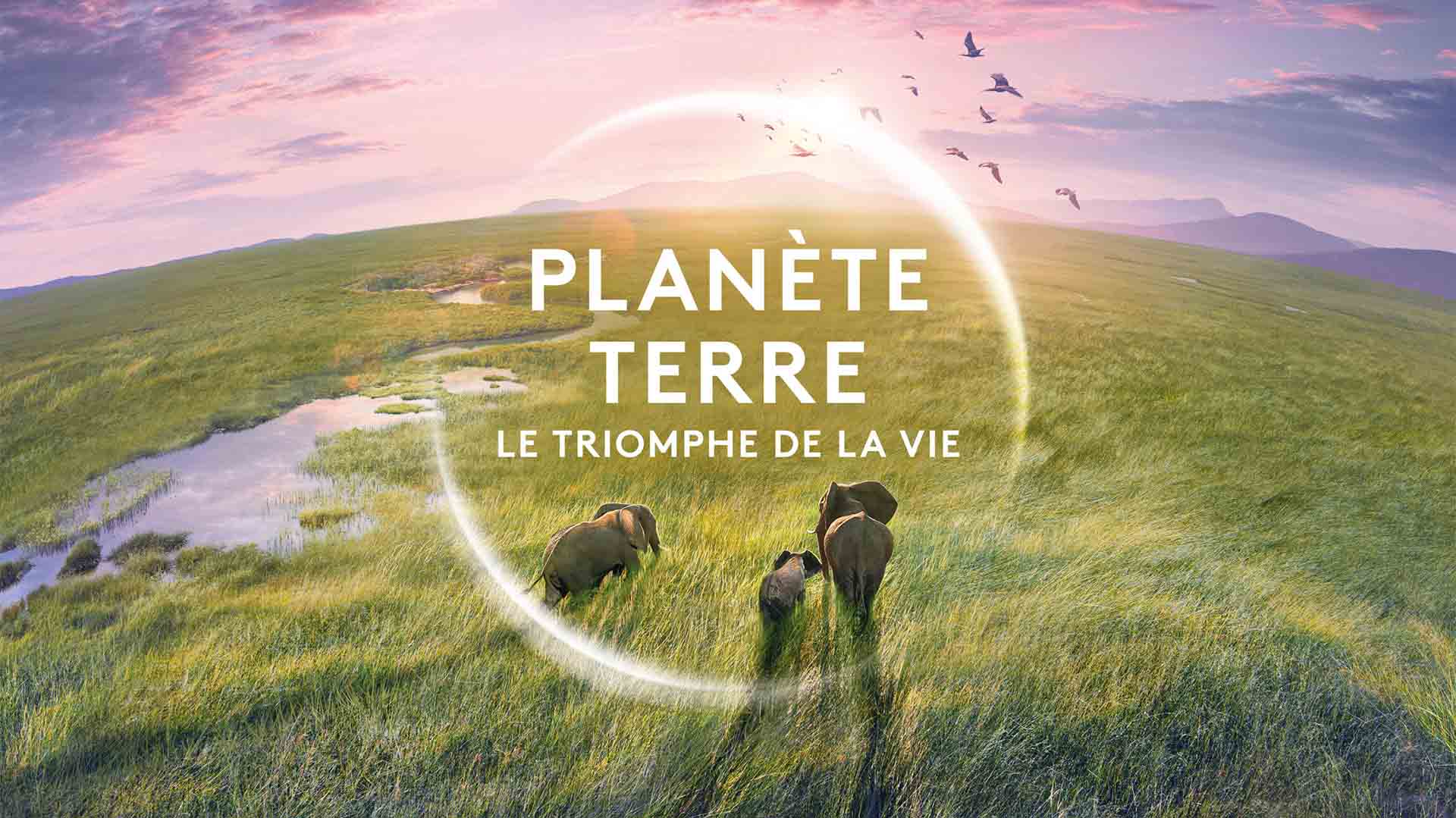 « Planète Terre, le triomphe de la vie » : une soirée sur Terre ! 