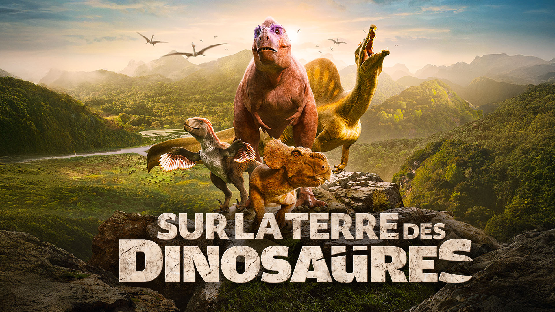 Et si c’était toi la nouvelle voix de france.tv ? 