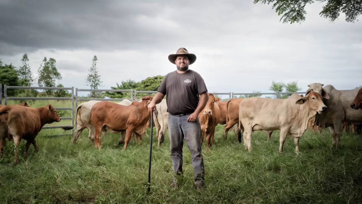 Programmation spéciale