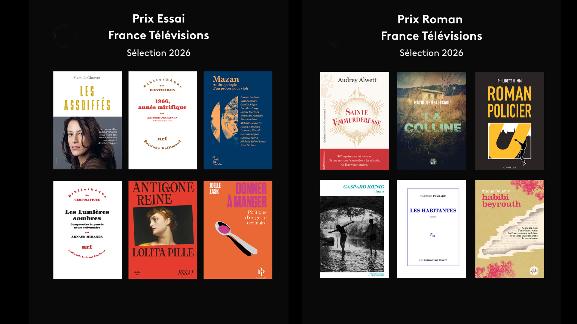 France Télévisions dévoile la sélection des Prix Essai et Prix Roman 2026